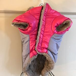 Dog 🐶 Puppy Fluffy Coat